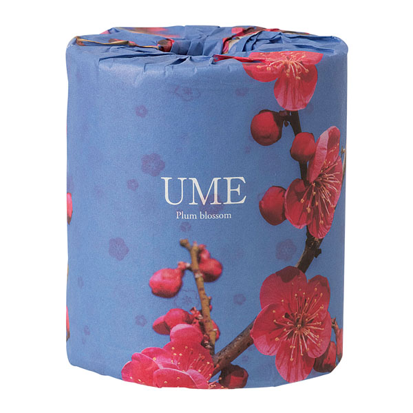 �ߤβ֥ץ��ȥȥ���åȥ�������֥�(30m)