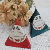 クリスマスキラテトラ