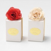 ルージュシャドー(キラチョコ)1個