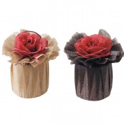 ウィンターキラハート1個