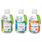 グリーンペット 1個