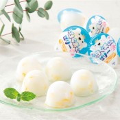 �̼�̣�臘 �������ޥ��꡼13��