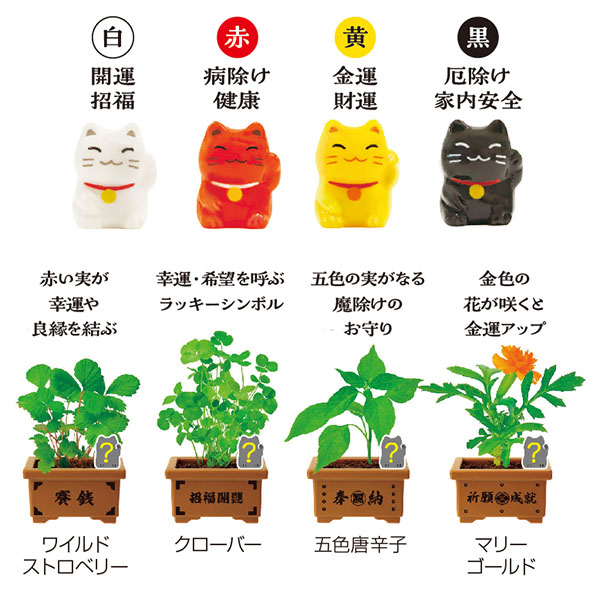 育てるカプセル 賽銭招き 育てるカプセル 賽銭招き