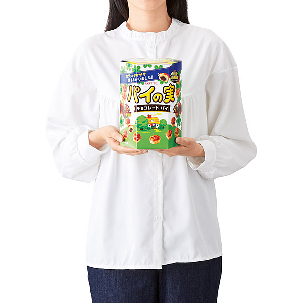 BIGボックス パイの実 BIGボックス パイの実