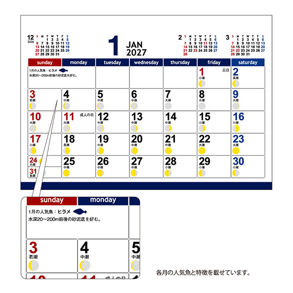 月の満ち欠けと潮回り 月の満ち欠けと潮回り