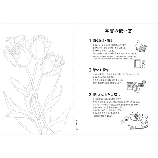 お得な2種セット 楽しく脳トレ!大人のぬりえ お得な2種セット 楽しく脳トレ!大人のぬりえ