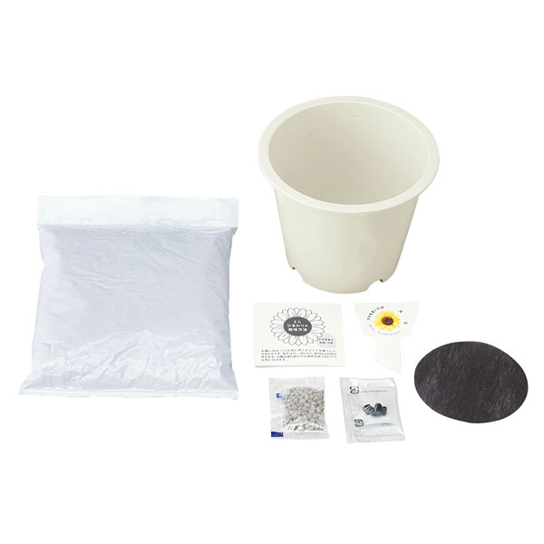 ミニひまわり栽培キット ミニひまわり栽培キット