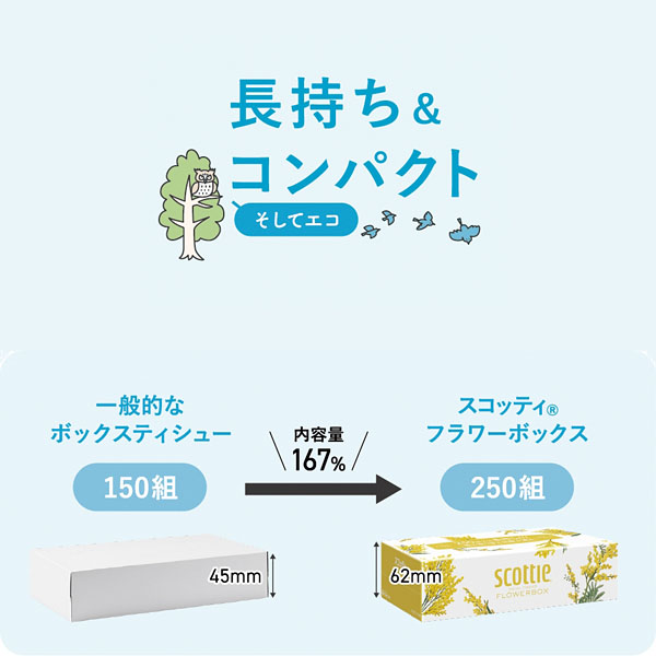 スコッティティシューフラワー 250W 3個組 スコッティティシューフラワー 250W 3個組