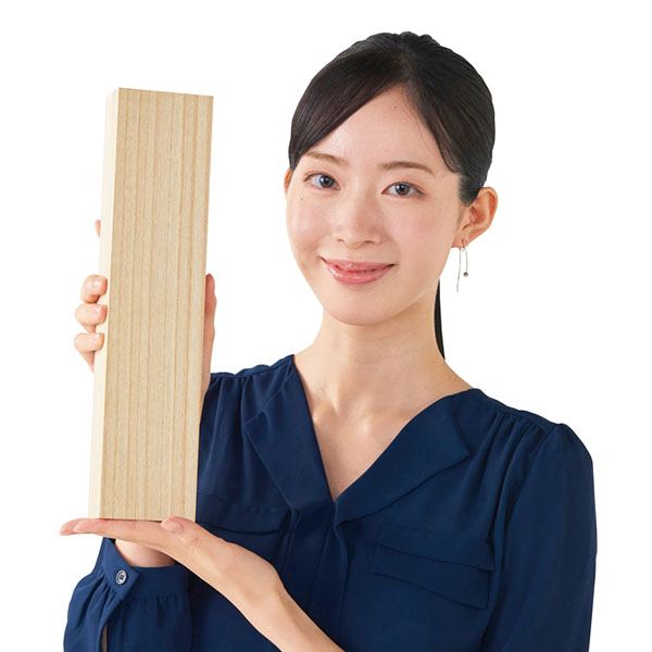 オールステンレス三徳包丁 オールステンレス三徳包丁